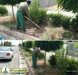 عملیات تشتک زنی و رفع علفهای هرز بلوارهای سطح شهر