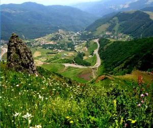 گالری جاذبه های گرشگری جنگل های فندقلو