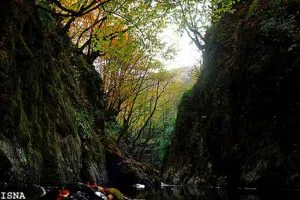 گالری جاذبه های گرشگری جنگل مشه
