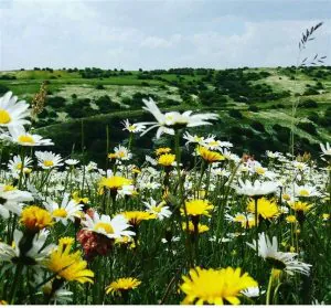 گالری جاذبه های گرشگری روستای کله سر