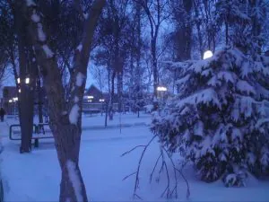 گالری جاذبه های گرشگری پارک شهرداری