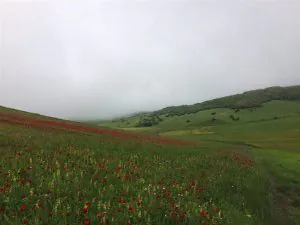 گالری جاذبه های گرشگری روستای ننه کران